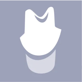exocad - Implant Add On Module